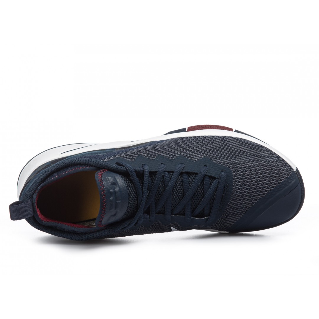 NIKE LEBRON WITNESS II 942518-406 Blue