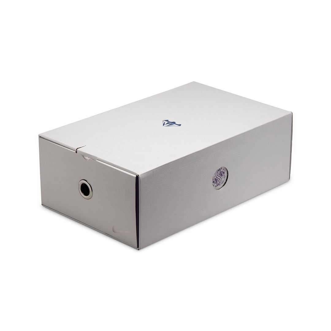 NIKE LEBRON XXII FZ1094-101 MULTI