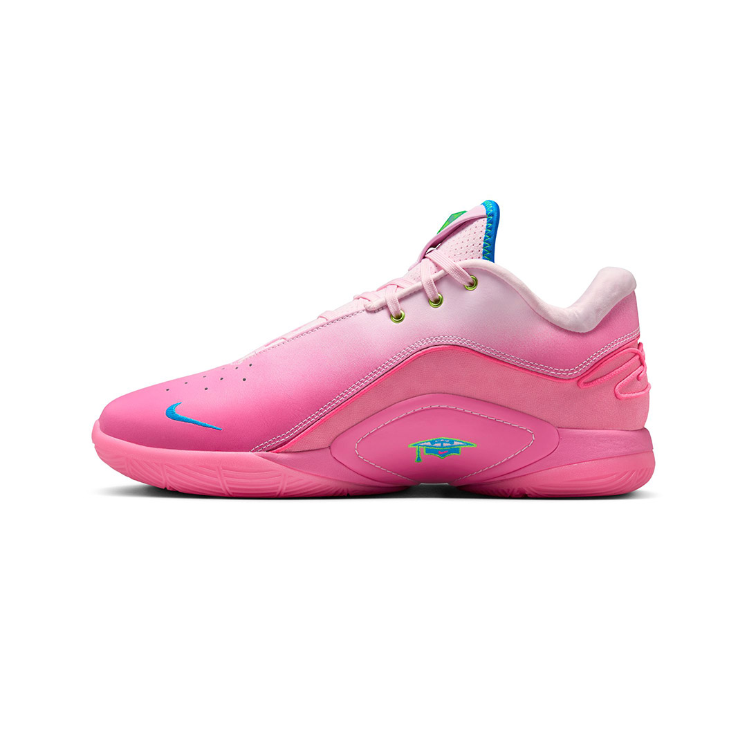 NIKE LEBRON XXII SN HV8455-600 Pink