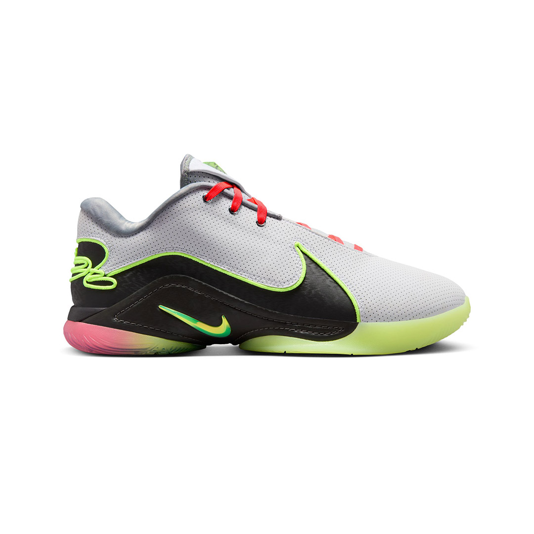 NIKE LEBRON XXII FZ1094-101 MULTI