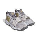 adidas Performance DAME 8 EXTPLY IG8086 Γκρί Εικόνα 1