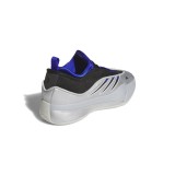 adidas Performance DAME 9 JH6633 Ασημί Εικόνα 2