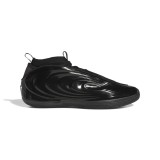 adidas Performance HARDEN VOLUME 10 JR1598 Black Image 