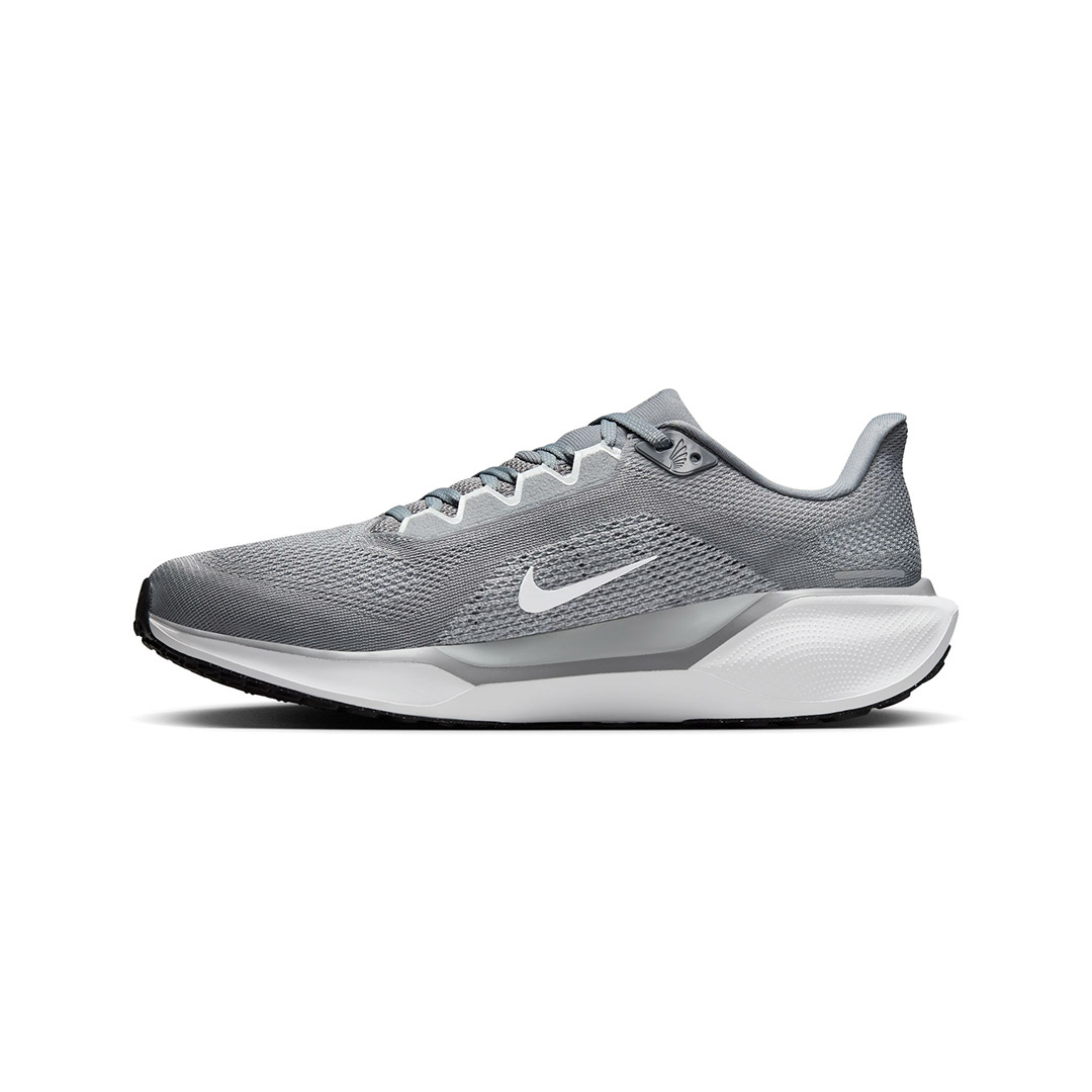 NIKE PEGASUS 41 FD2722-009 Grey