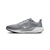 NIKE PEGASUS 41 FD2722-009 Grey Image 0