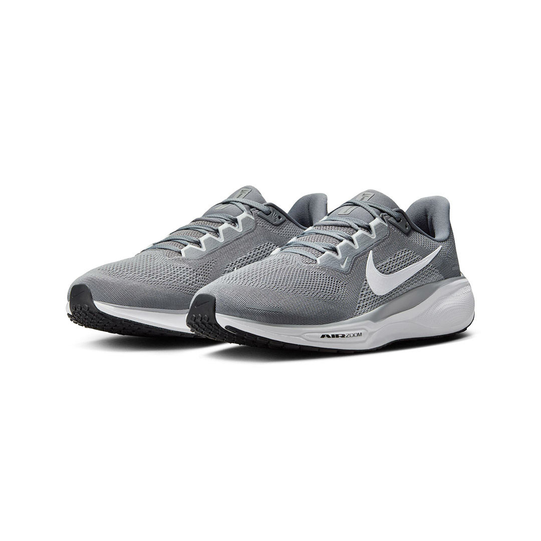 NIKE PEGASUS 41 FD2722-009 Grey