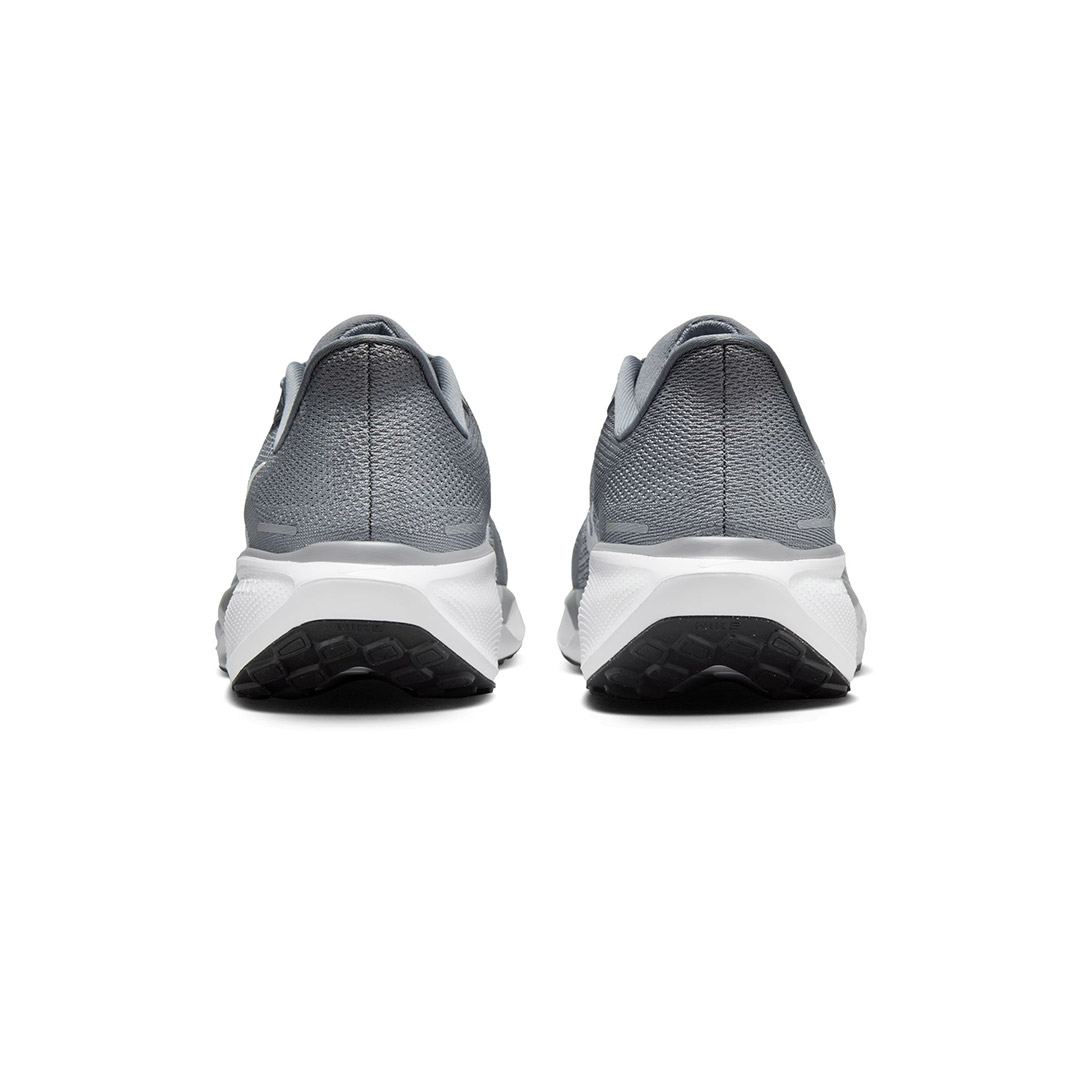 NIKE PEGASUS 41 FD2722-009 Grey
