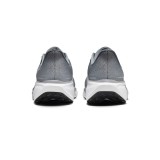 NIKE PEGASUS 41 FD2722-009 Grey Image 2