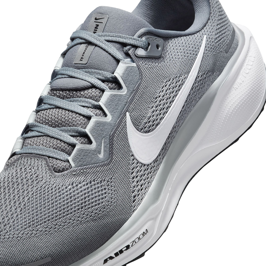 NIKE PEGASUS 41 FD2722-009 Grey