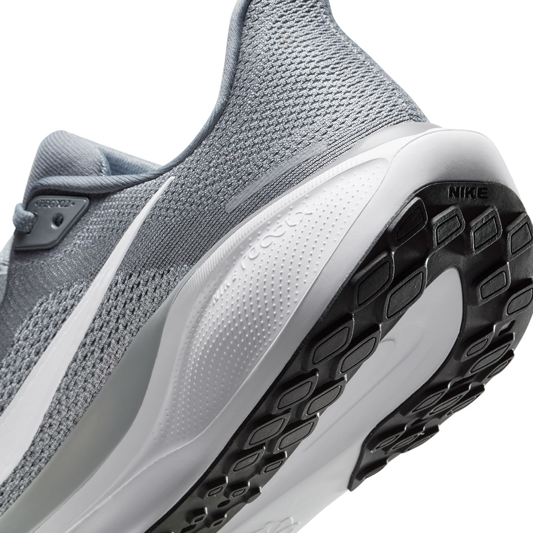 NIKE PEGASUS 41 FD2722-009 Grey