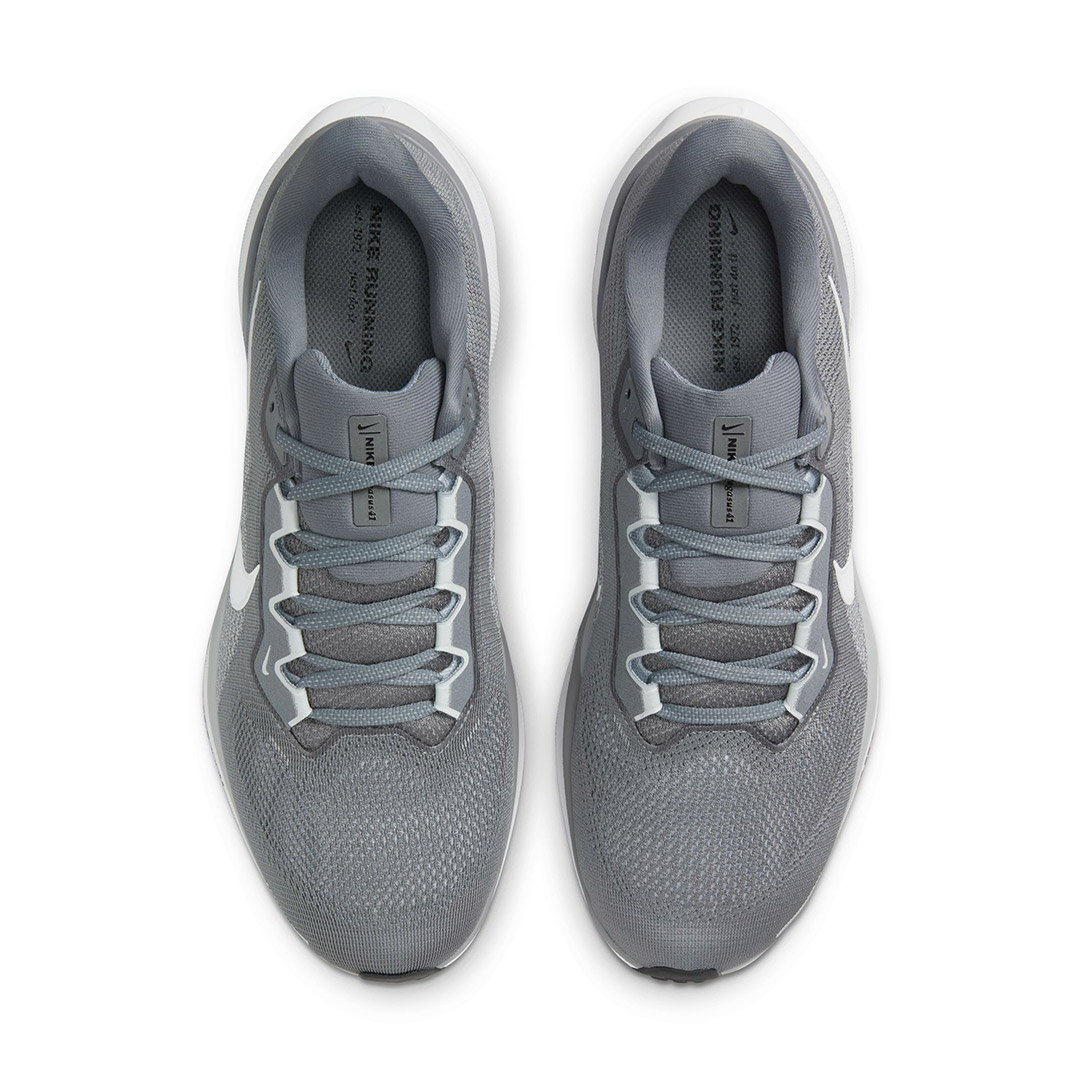NIKE PEGASUS 41 FD2722-009 Grey