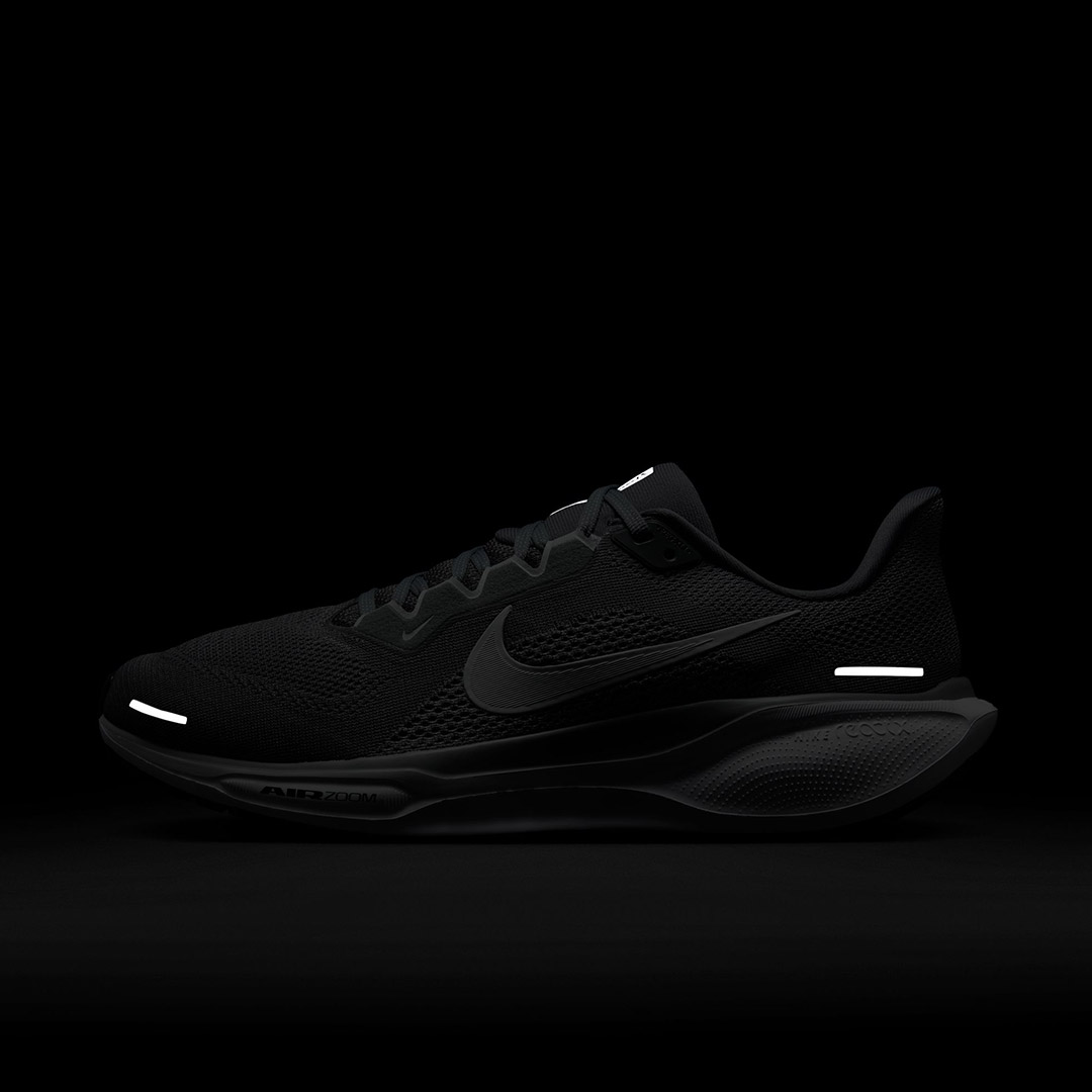 NIKE PEGASUS 41 FD2722-009 Grey