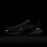 NIKE PEGASUS 41 FD2722-009 Grey Image 7
