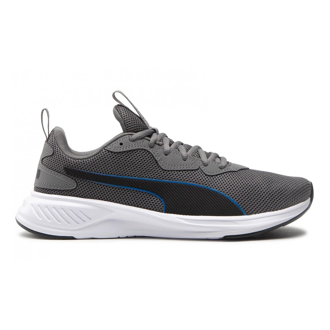PUMA INCINERATE 376288-14 Coal