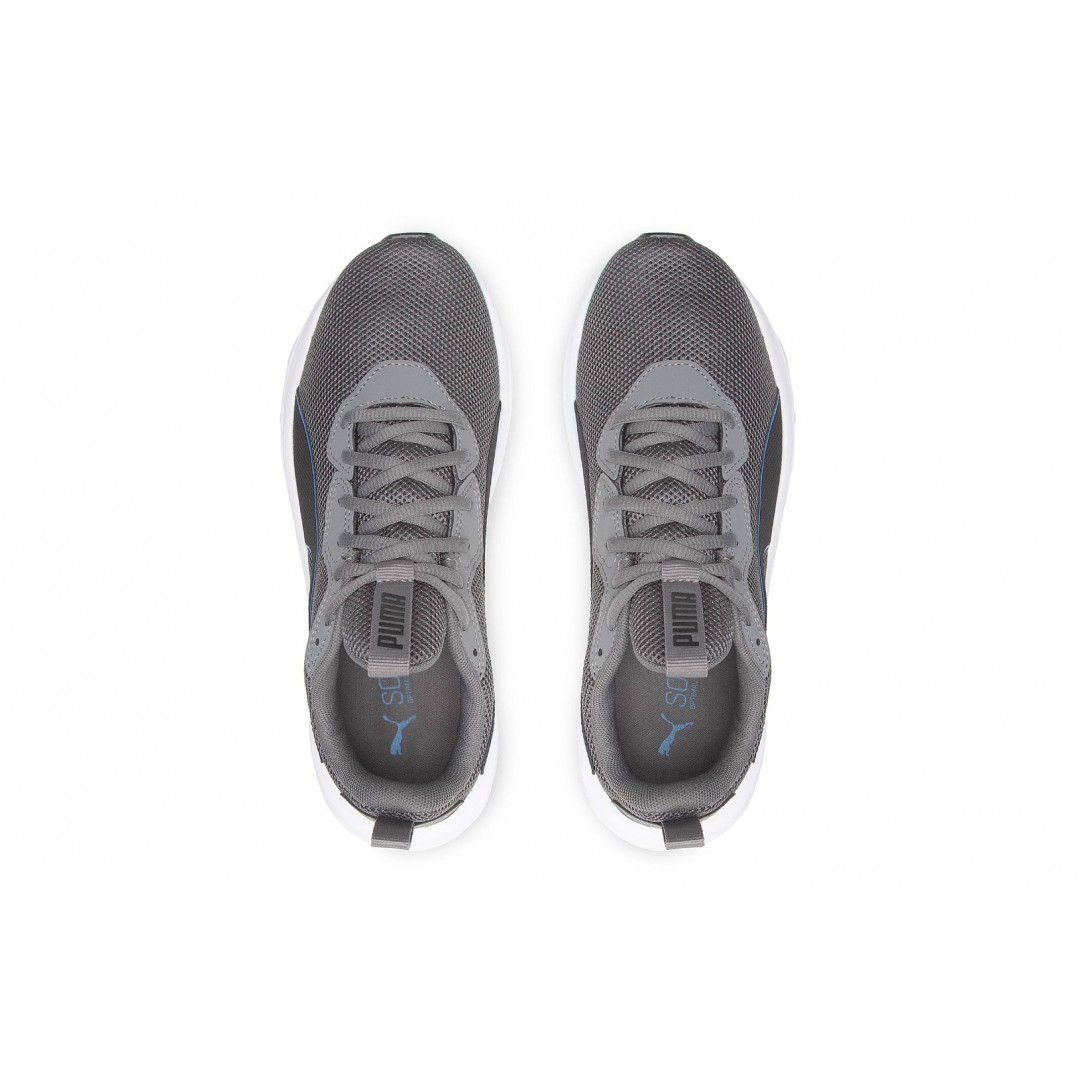 PUMA INCINERATE 376288-14 Coal