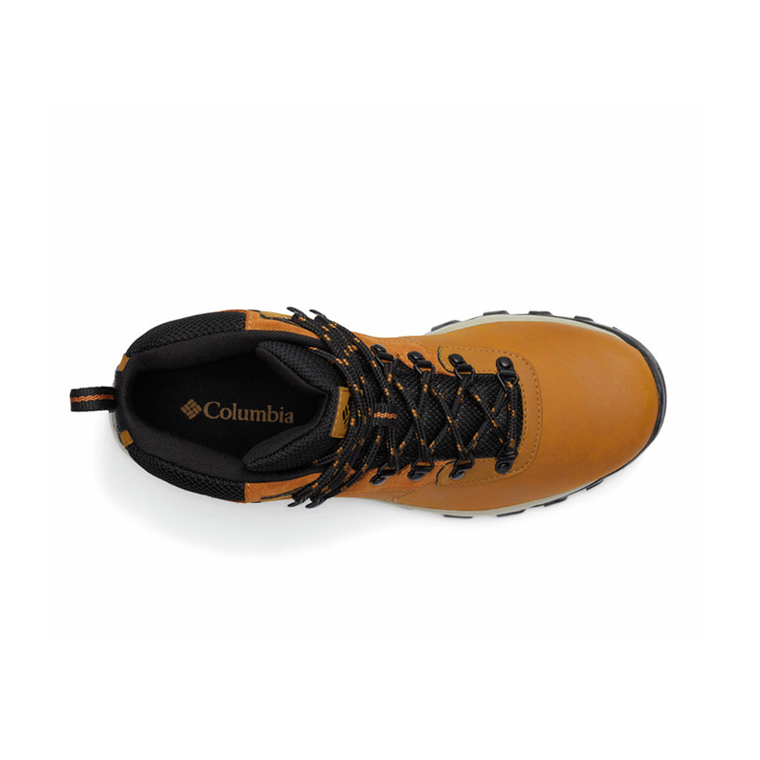 COLUMBIA NEWTON RIDGE PLUS II WATERPROOF BM3970A-291 Brown
