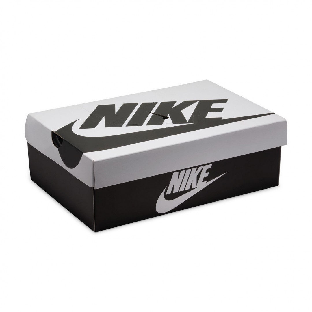 NIKE DUNK LOW RETRO SE IB2990-100 Πολύχρωμο