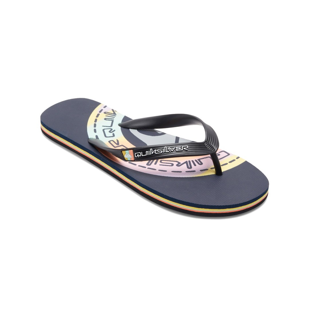 QUIKSILVER MOLOKAI ART AQYL101264-XBBN Blue