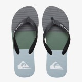 QUIKSILVER MOLOKAI STRIPE AQYL101361-XKSG Πολύχρωμο Εικόνα 2