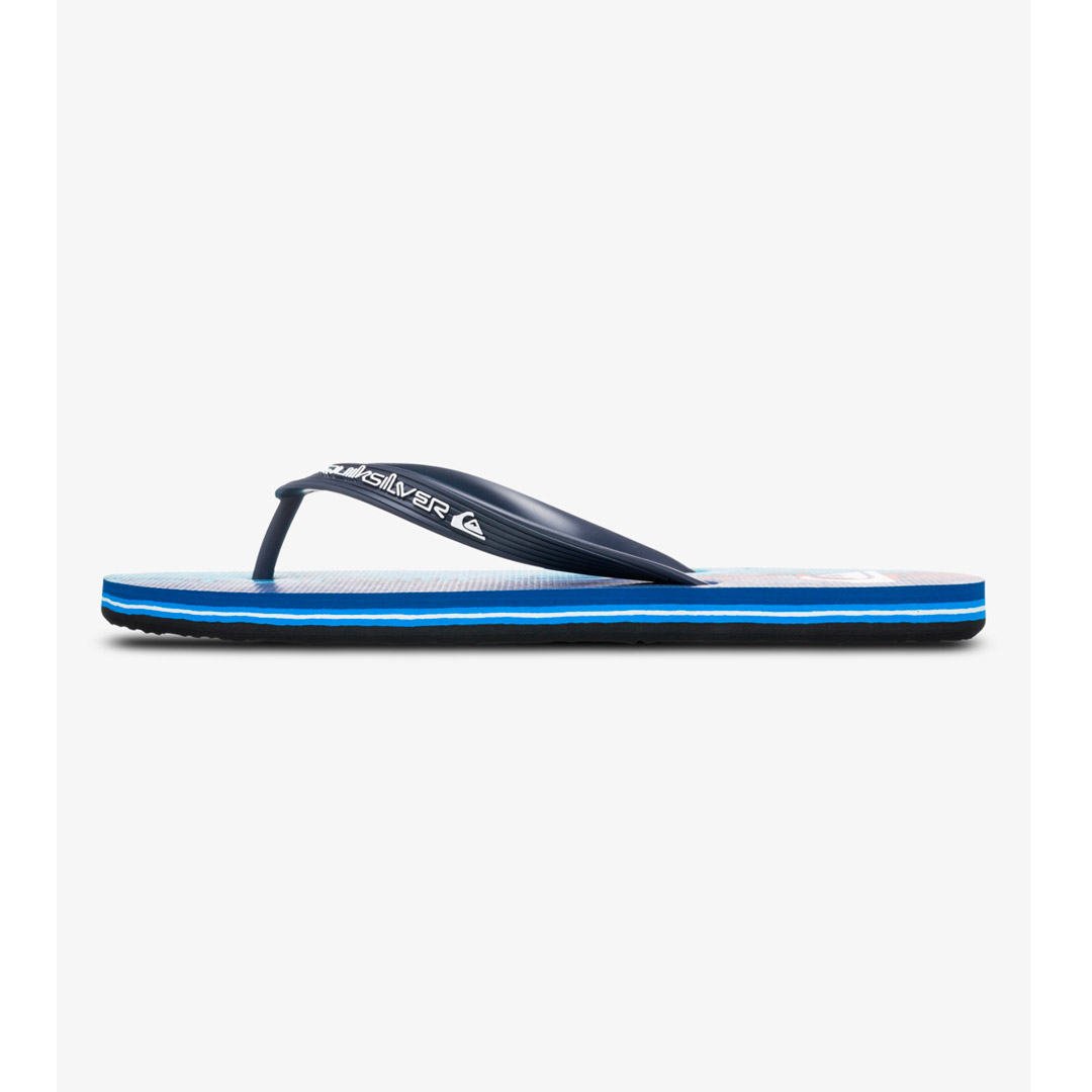 QUIKSILVER MOLOKAI ART 25 AQYL101430-BQV8 Μπλε