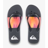 QUIKSILVER MOLOKAI STRIPE 25 AQYL101431-MKZ9 Πολύχρωμο Εικόνα 1