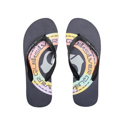 QUIKSILVER MOLOKAI ART AQYL101264-XBBN Blue