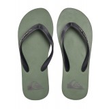 QUIKSILVER MOLOKAI CORE AQYL101325-GVJ1 Κhaki Image 