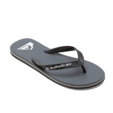 QUIKSILVER MOLOKAI CORE AQYL101325-SYJ1 Γκρί Εικόνα 