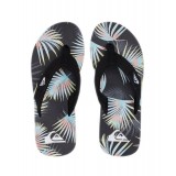 QUIKSILVER MOLOKAI LAYBACK AQYL101241-SYJ1 Colorful Image 