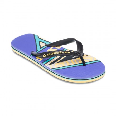 QUIKSILVER MOLOKAI SCREEN AQYL101427-DSP Μωβ