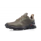 SALOMON ALPHACROSS BLAST GTX L411058-OLIVE Κhaki Image 0