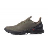 SALOMON ALPHACROSS BLAST GTX L411058-OLIVE Κhaki Image 