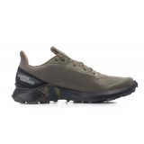 SALOMON ALPHACROSS BLAST GTX L411058-OLIVE Κhaki Image 1