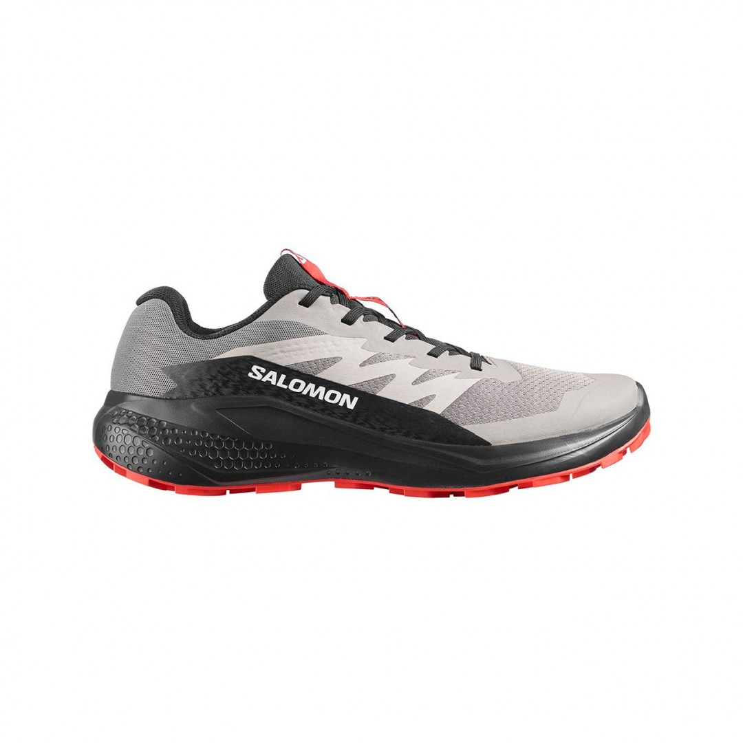 SALOMON ALPHAGLIDE L480008 Γκρί