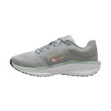NIKE WINFLO 11 FJ9510-004 Grey Image 0