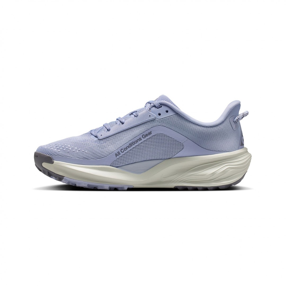 NIKE AGG PEGASUS HV8121-003 Γκρί