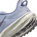 NIKE AGG PEGASUS HV8121-003 Γκρί Εικόνα 4