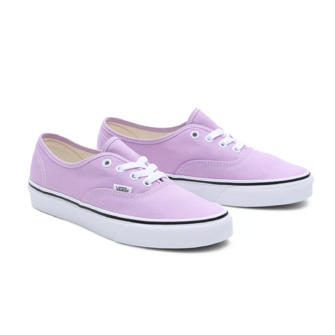 VANS AUTHENTIC COLOR THEORY VN0009PVBUG-BUG Lilac