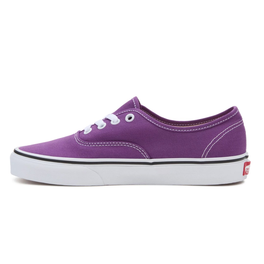 VANS AUTHENTIC COLOR THEORY VN000BW51N8-1N8 Purple
