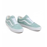 VANS OLD SKOOL PIG SUEDE VN0A2Z42M8I-M8I Alcohol Image 0
