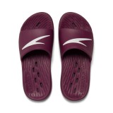 SPEEDO SPEEDO SLIDE  AF 122301-5355W Μωβ Εικόνα 