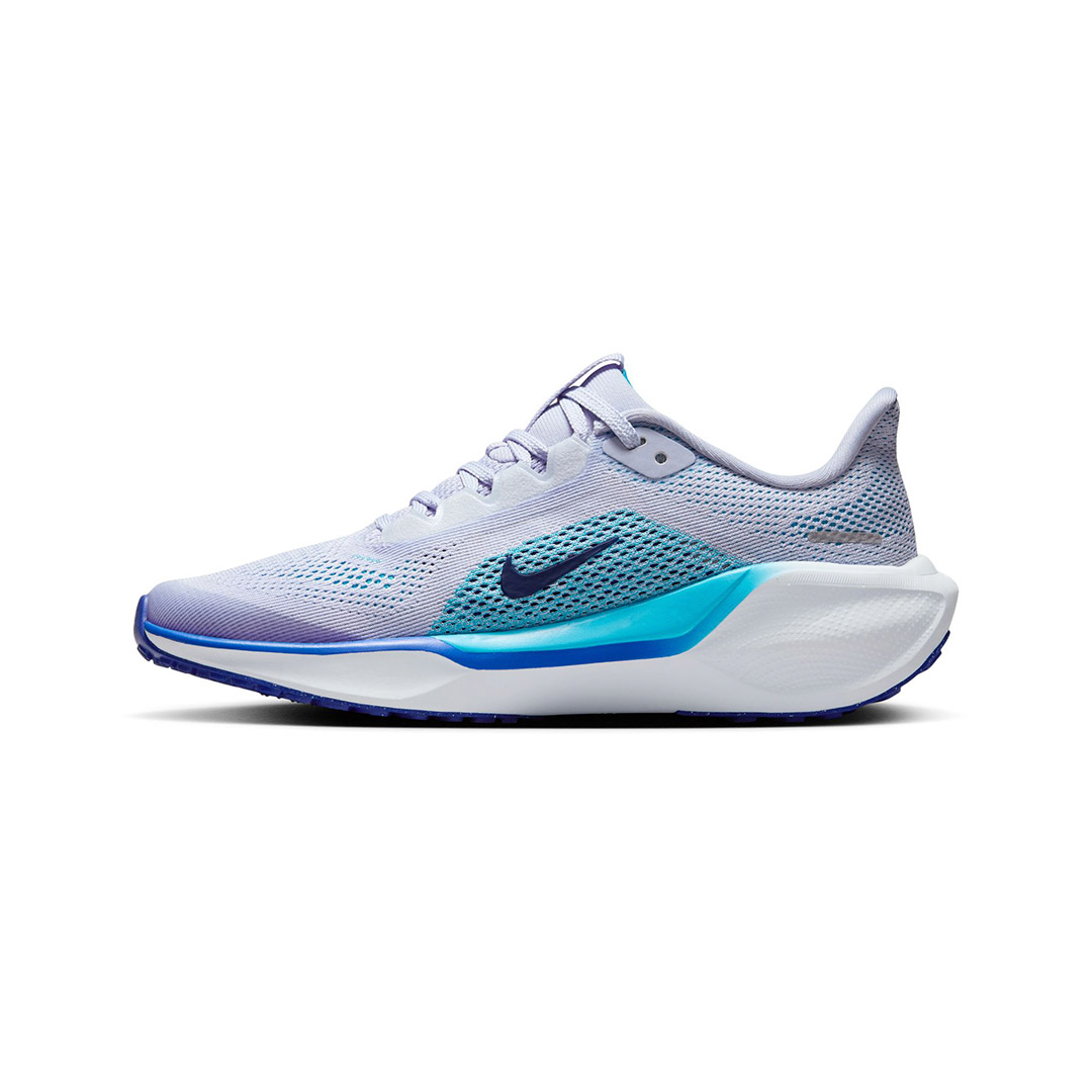 NIKE AIR ZOOM PEGASUS 41 FN5041-004 Grey