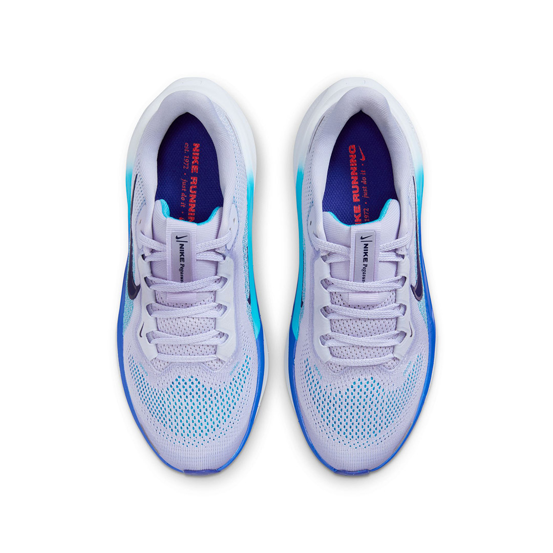 NIKE AIR ZOOM PEGASUS 41 FN5041-004 Grey