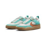 NIKE SB DAY ONE FN4210-301 Πολύχρωμο Εικόνα 1