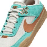 NIKE SB DAY ONE FN4210-301 Πολύχρωμο Εικόνα 4