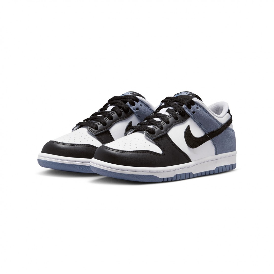 NIKE DUNK LOW ESSENTIAL+ IQ2755-103 Colorful