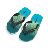 O'NEILL PROFILE GRAPHIC SANDALS 4400015-26019 Siel Image 