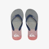QUIKSILVER AQBL100560-XBBN Grey Image 1