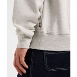 DICKIES SUMMERDALE SWEATSHIRT DK0A4Y6QA28-A28 Grey Image 2