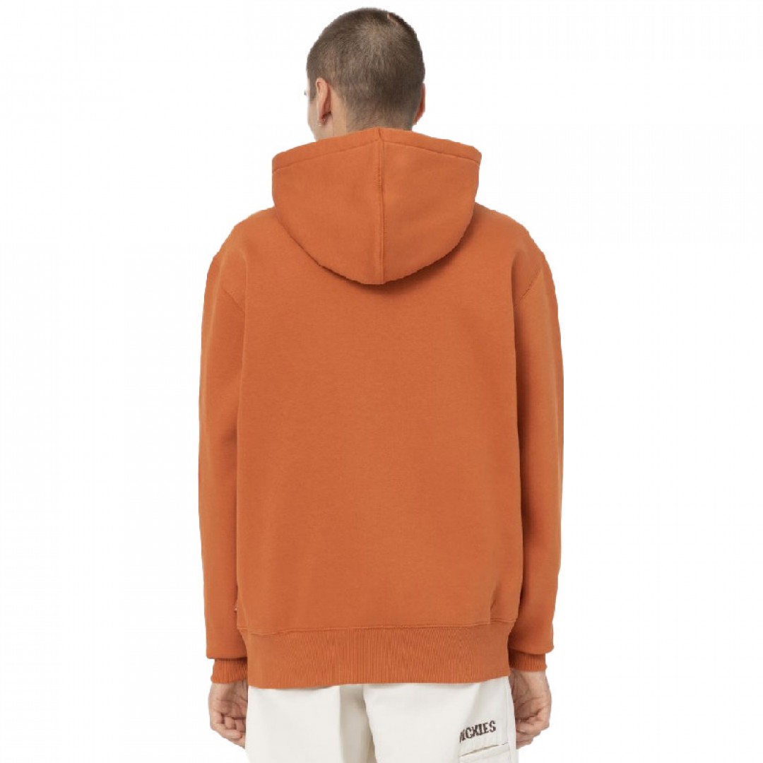 DICKIES SUMMERDALE HOODIE DK0A4Y6PC05-C05 Brown